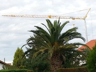 transport de grues - Société de Montage de Grues dans le Bâtiment à Manhac dans l'Aveyron